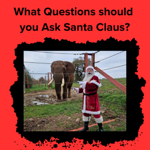 Questions To Ask Santa